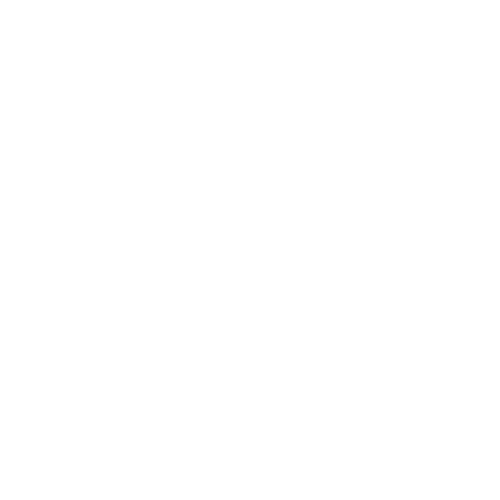 LensBro Logo